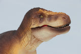 RECUR 1:35 Scale Tyrannosaurus Osborne Model