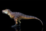 RECUR 1:35 Scale Tyrannosaurus Osborne Model