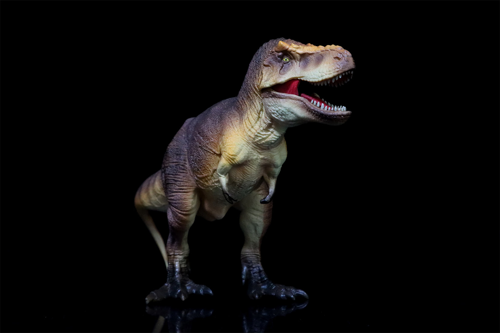 RECUR 1:35 Scale Tyrannosaurus Osborne Model