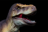 RECUR 1:35 Scale Tyrannosaurus Osborne Model