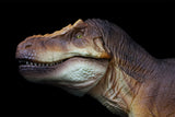 RECUR 1:35 Scale Tyrannosaurus Osborne Model