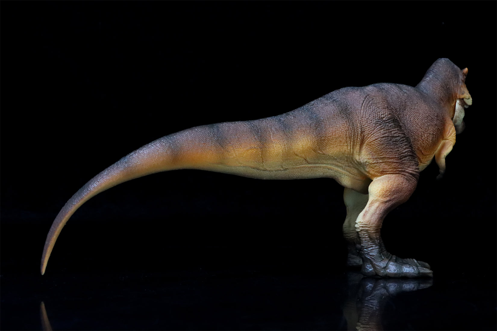 RECUR 1:35 Scale Tyrannosaurus Osborne Model