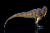 RECUR 1:35 Scale Tyrannosaurus Osborne Model