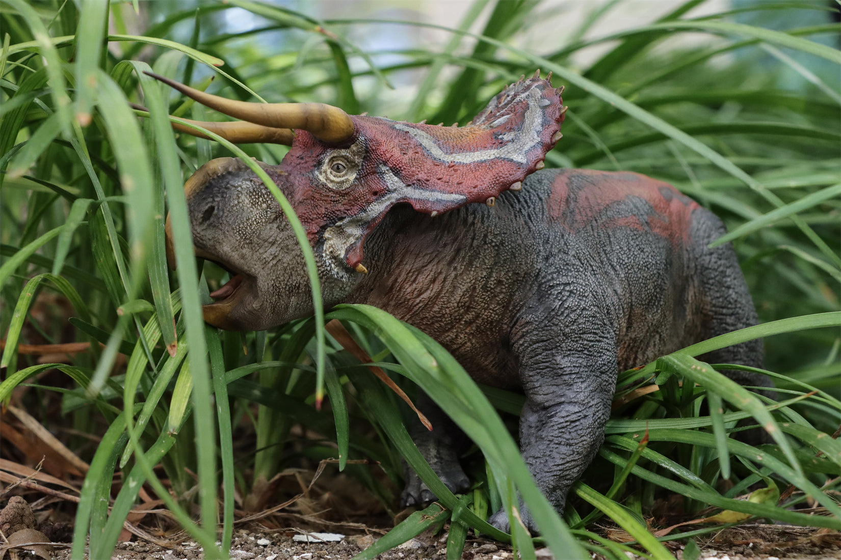 DINO DREAM 1:30 Scale Nasutoceratops Model