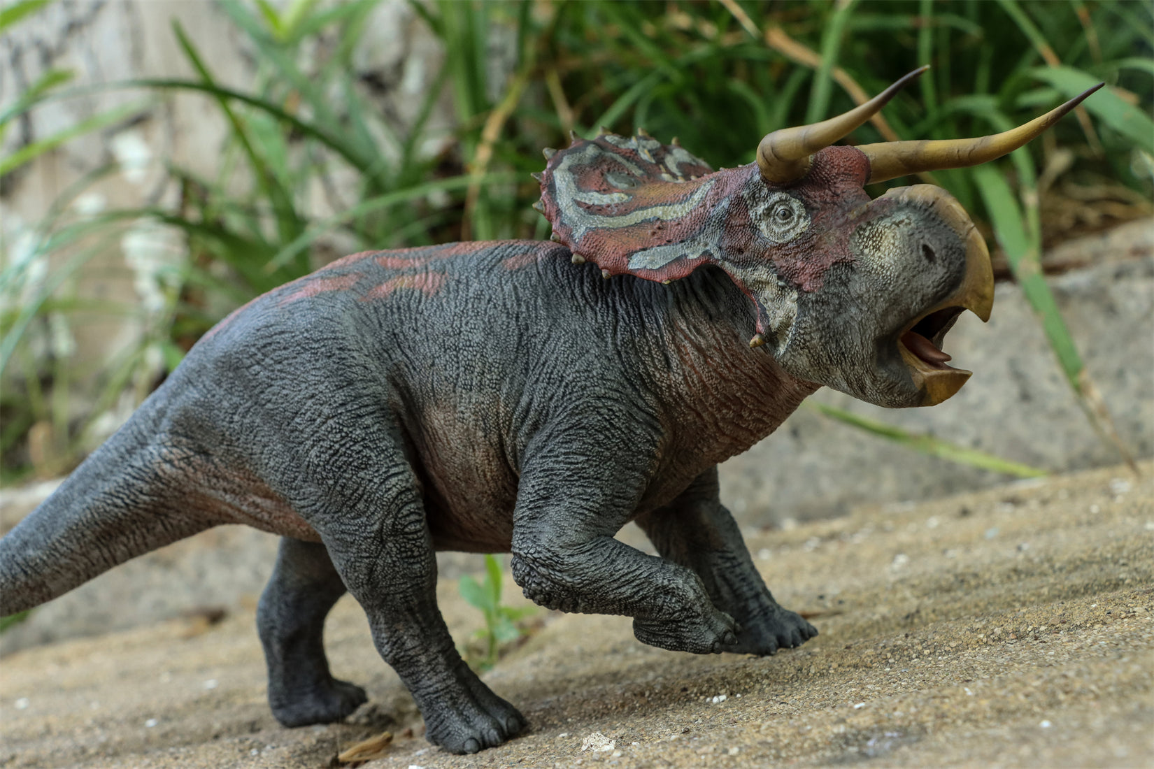 DINO DREAM 1:30 Scale Nasutoceratops Model