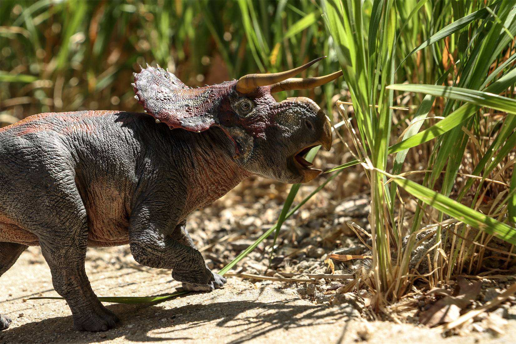 DINO DREAM 1:30 Scale Nasutoceratops Model