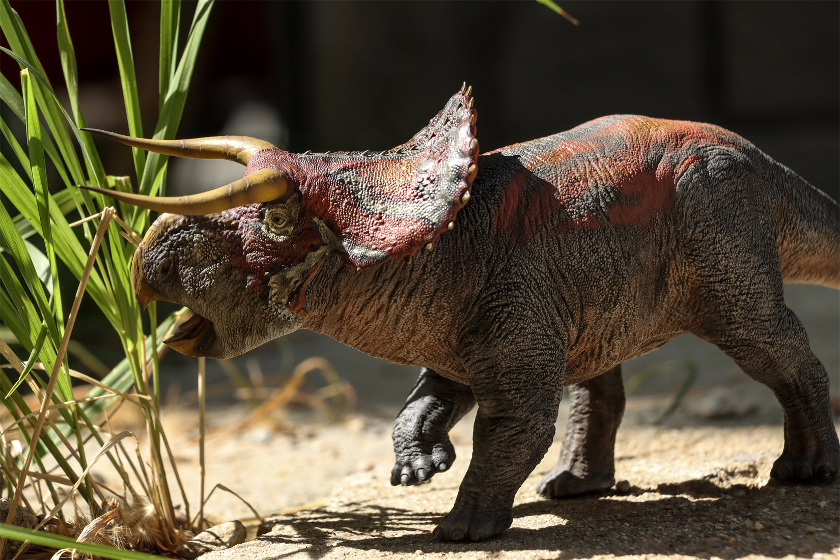 DINO DREAM 1:30 Scale Nasutoceratops Model