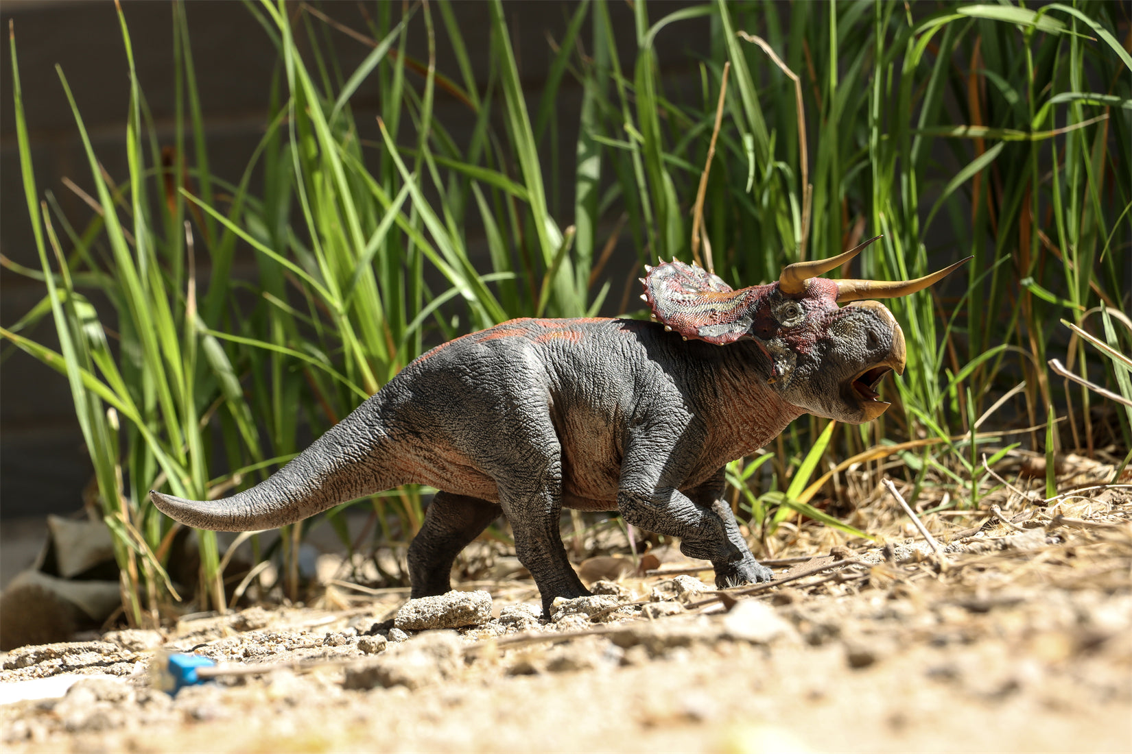 DINO DREAM 1:30 Scale Nasutoceratops Model