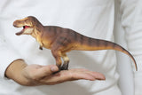 RECUR 1:35 Scale Tyrannosaurus Osborne Model