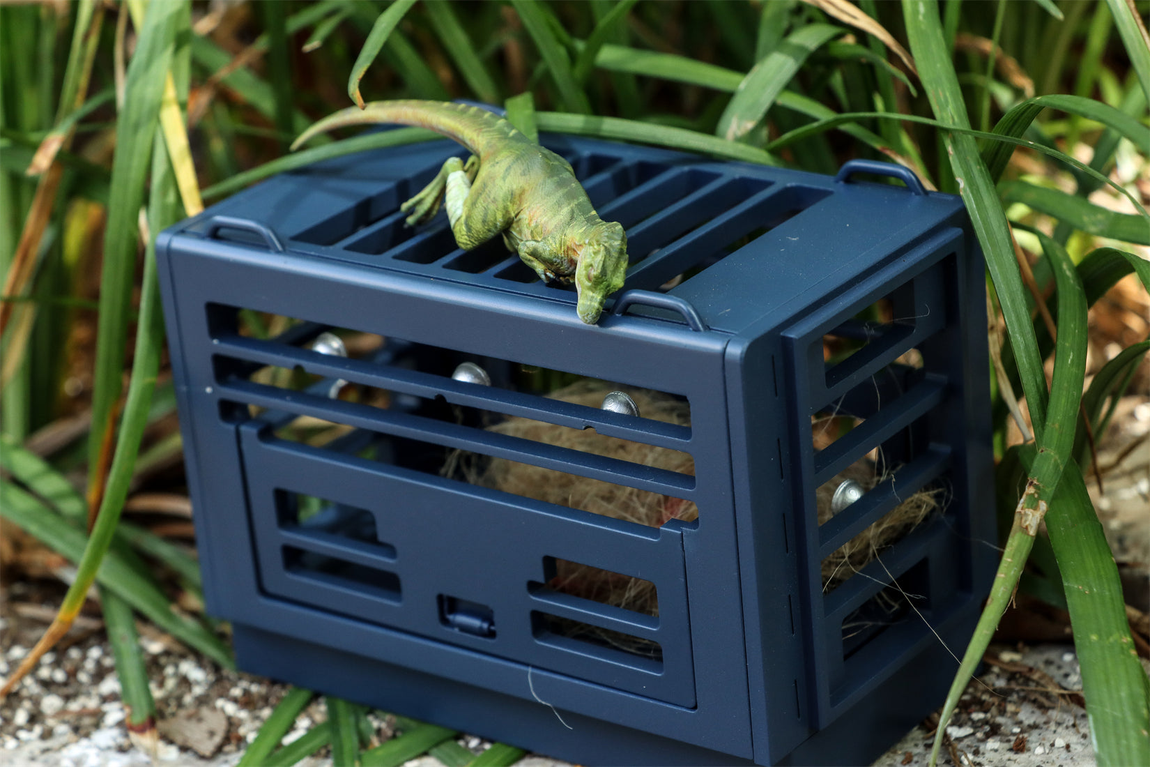 DINO DREAM 1/30 Scale Baby Trex Cage Model