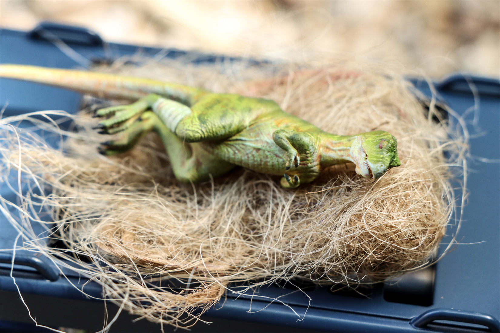 DINO DREAM 1/30 Scale Baby Trex Cage Model