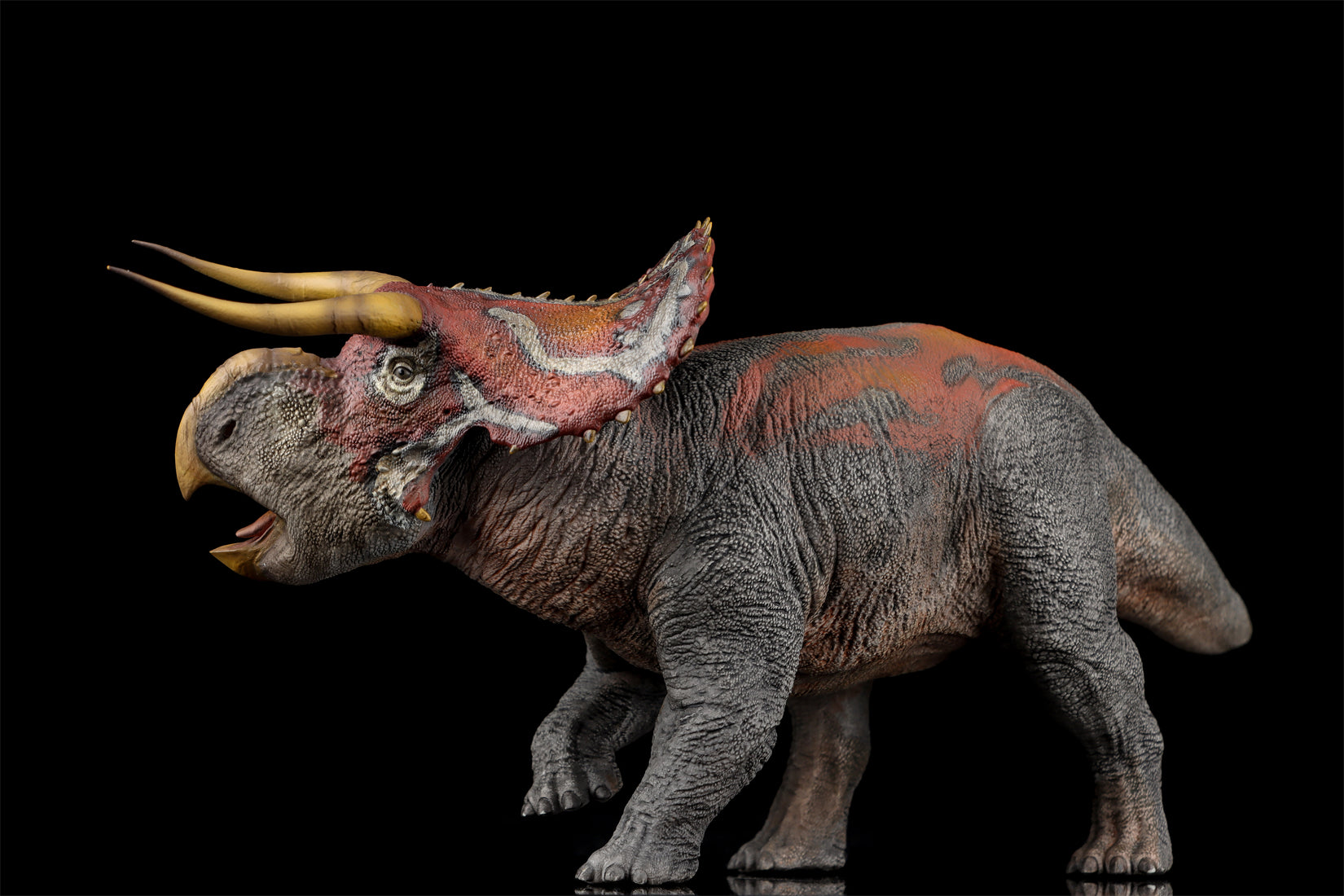 DINO DREAM 1:30 Scale Nasutoceratops Model