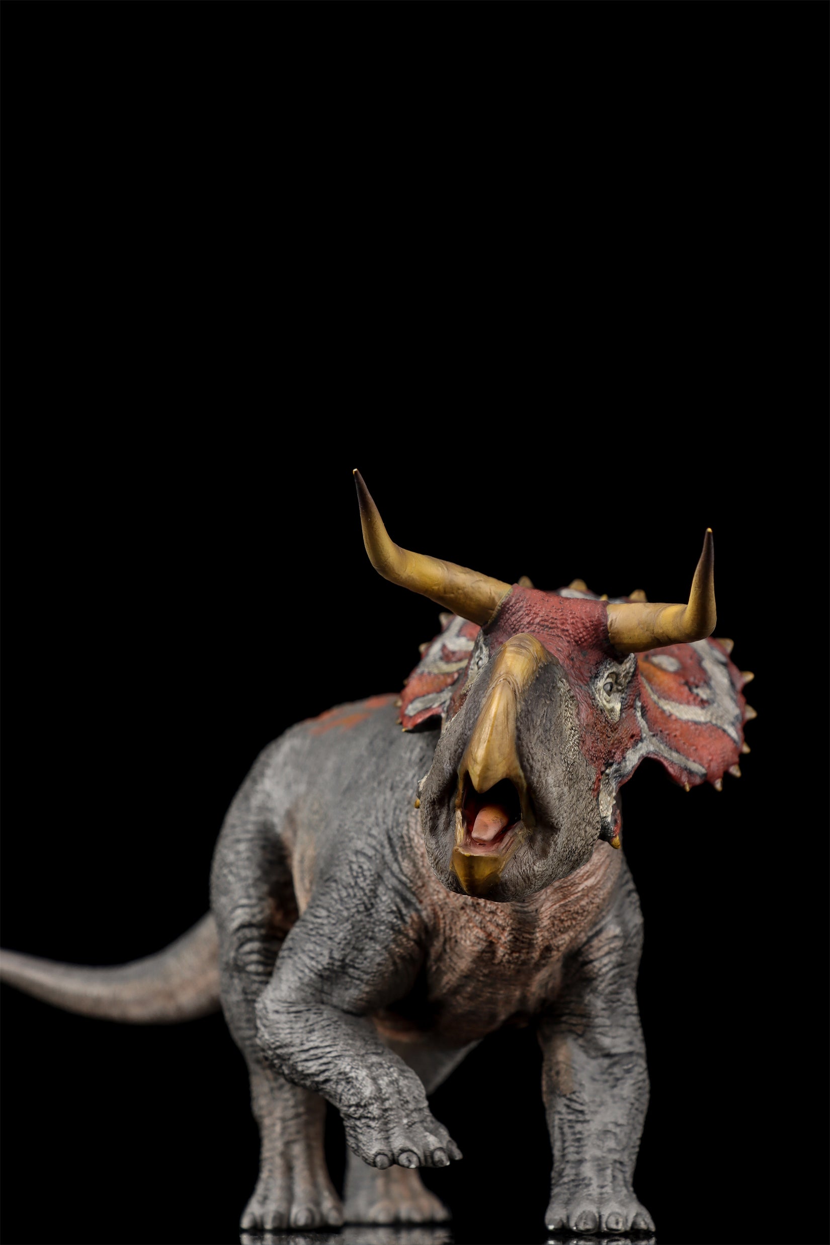 DINO DREAM 1:30 Scale Nasutoceratops Model