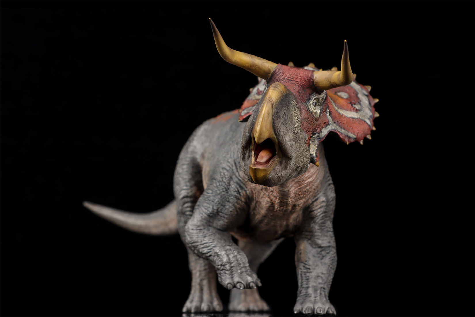 DINO DREAM 1:30 Scale Nasutoceratops Model