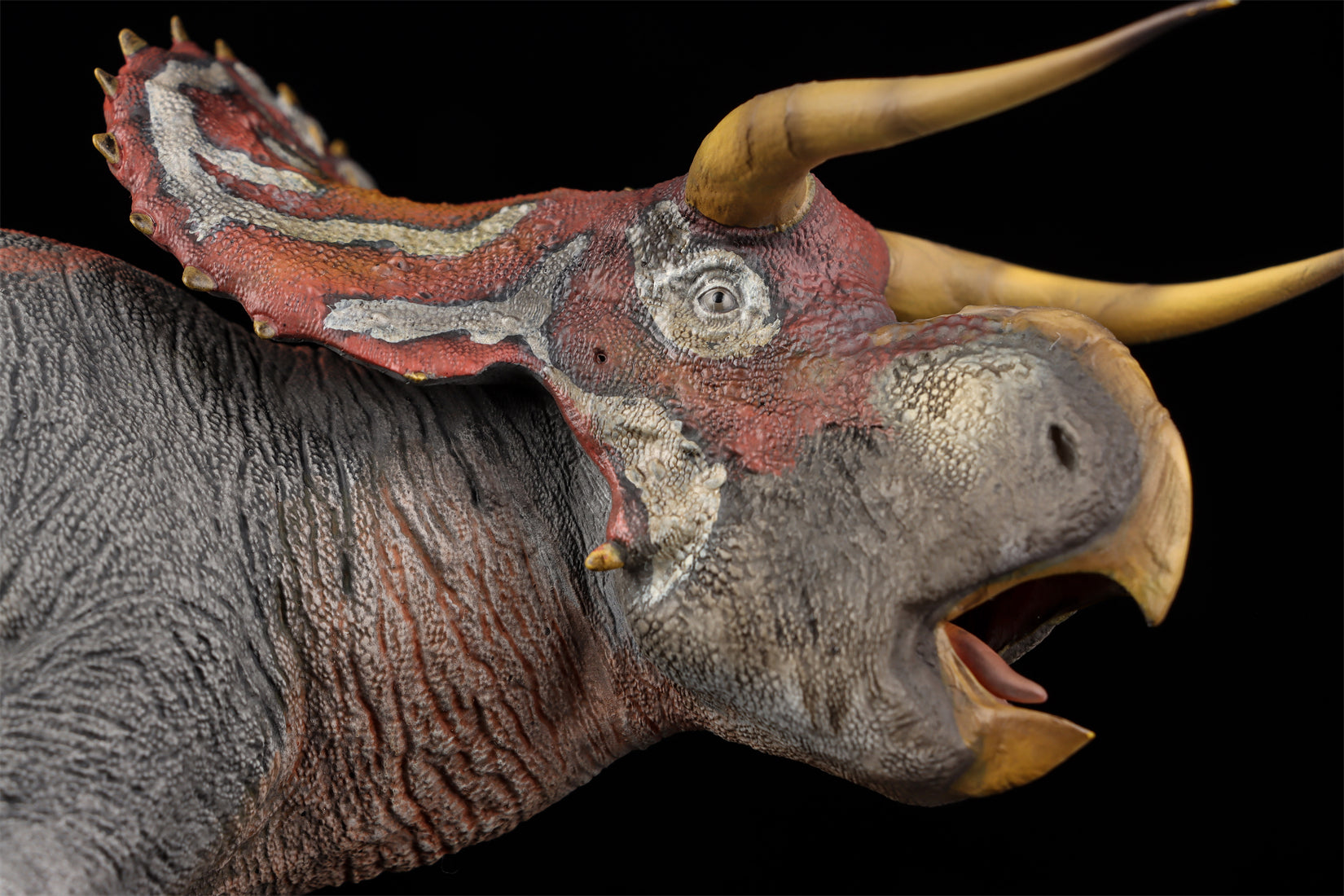 DINO DREAM 1:30 Scale Nasutoceratops Model