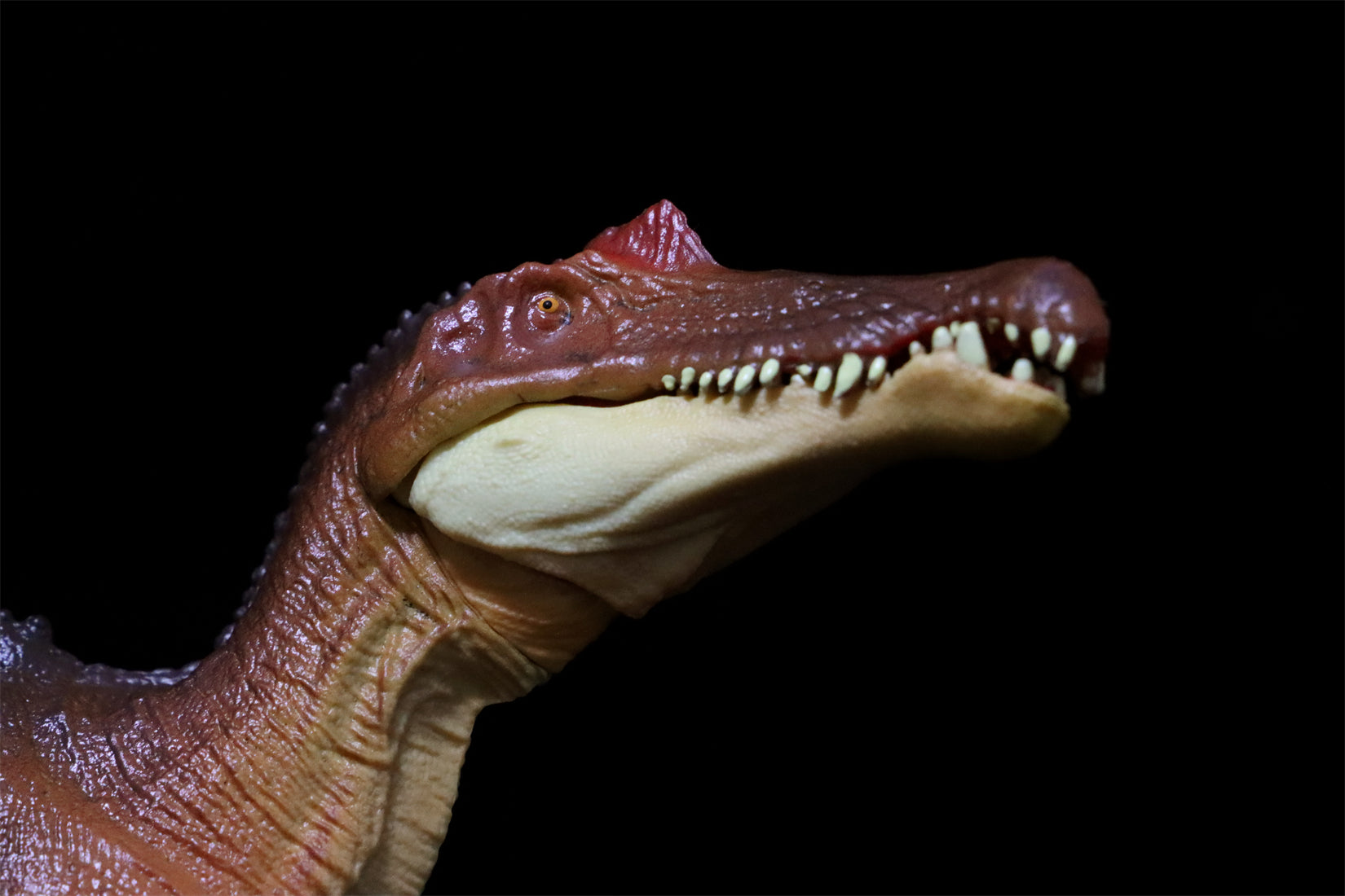 RECUR 1:42 Scale Spinosaurus Stromer Model