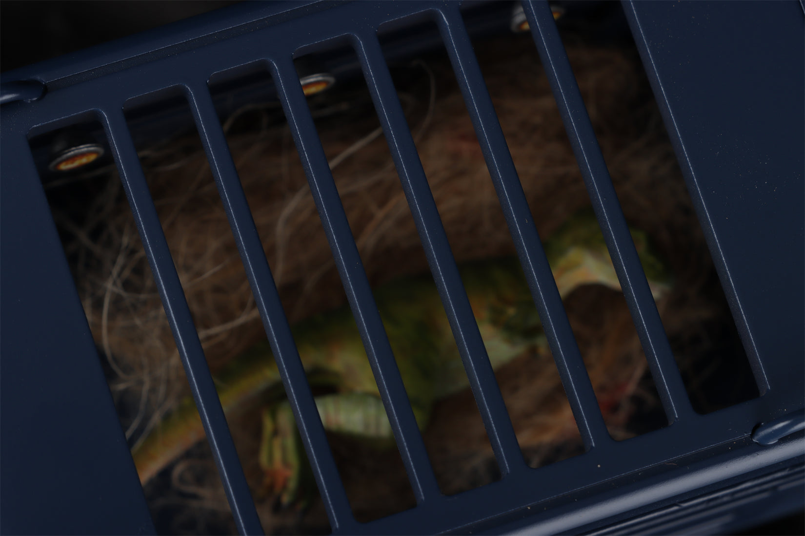 DINO DREAM 1/30 Scale Baby Trex Cage Model