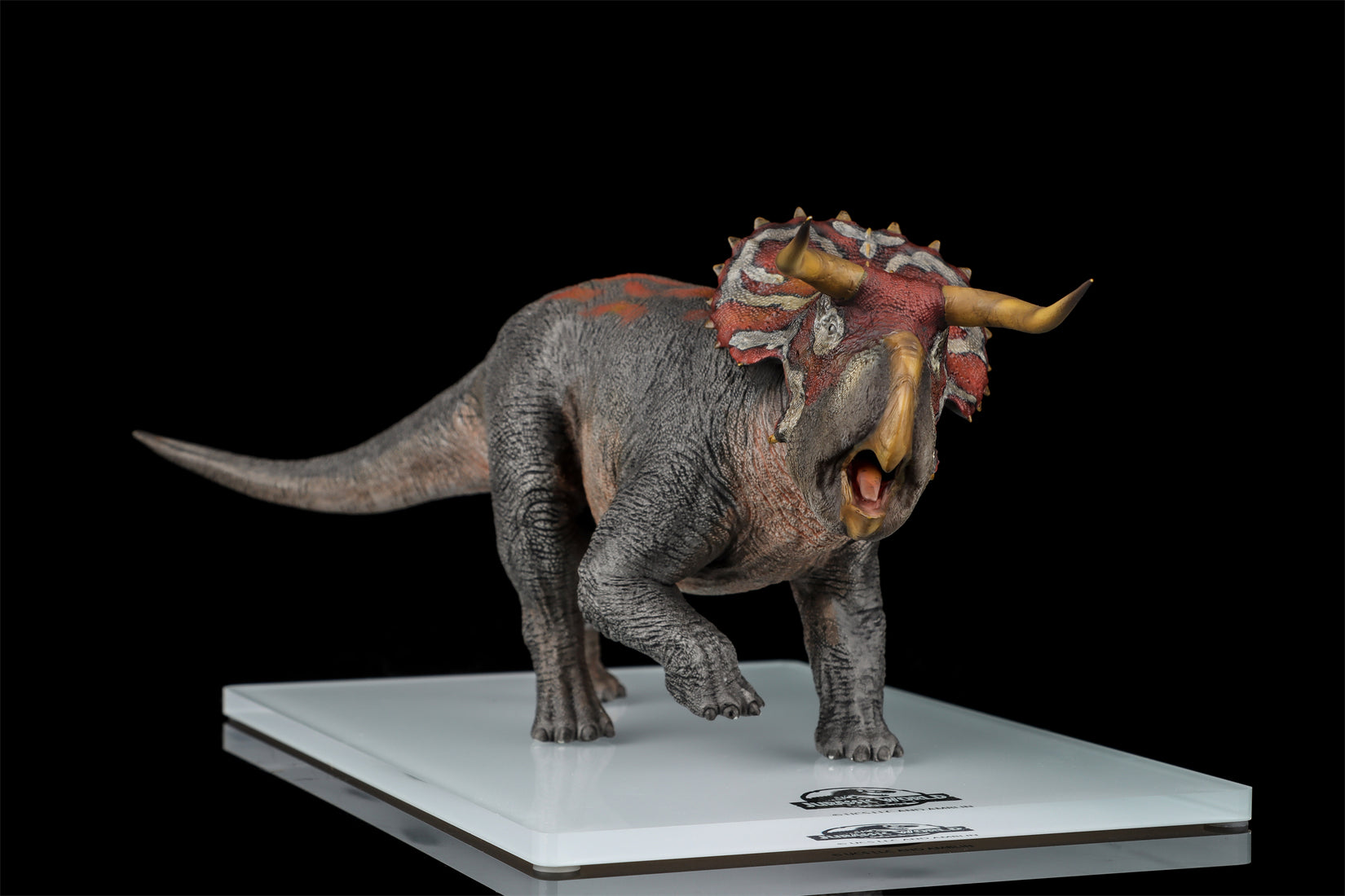 DINO DREAM 1:30 Scale Nasutoceratops Model