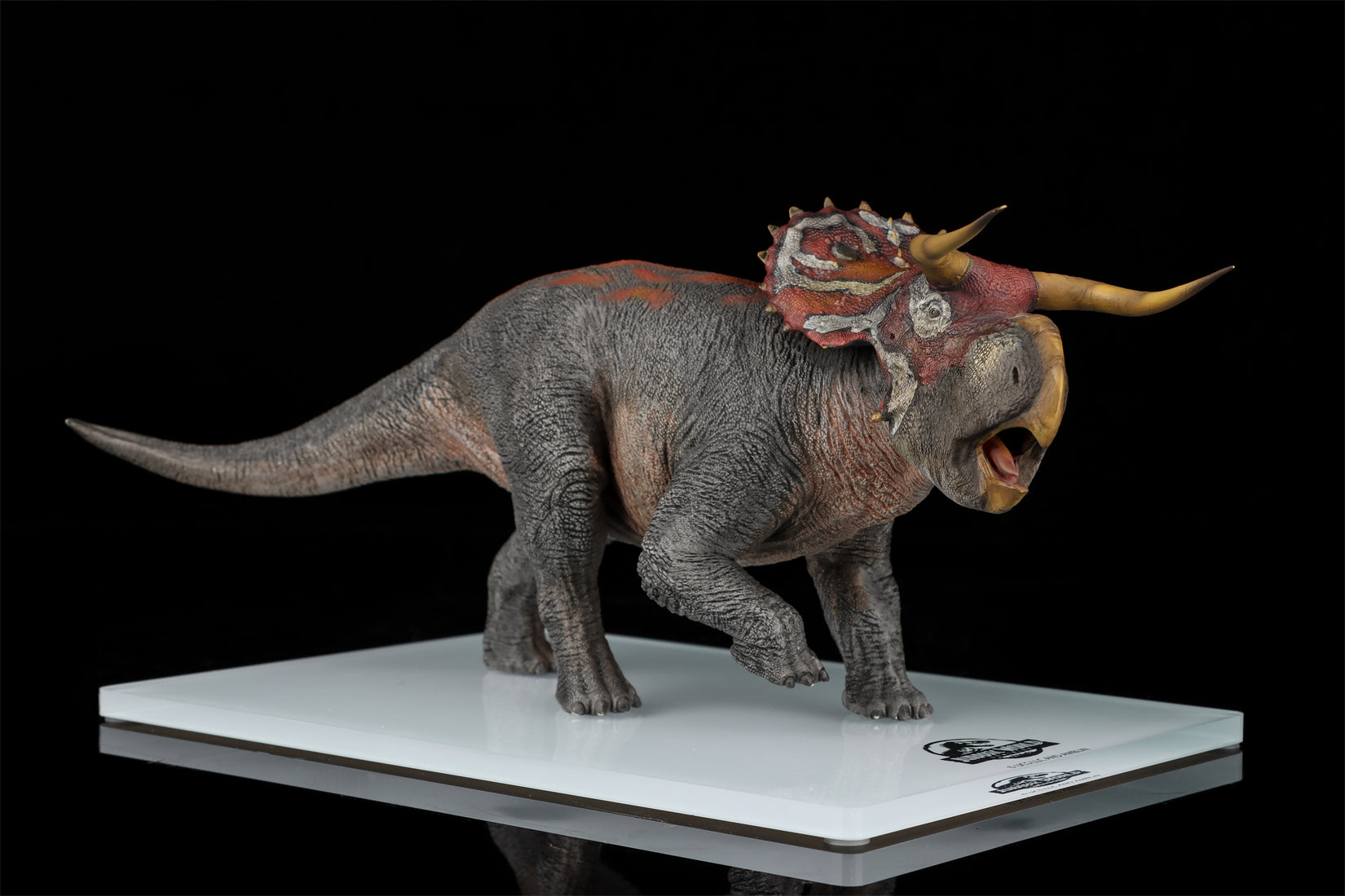 DINO DREAM 1:30 Scale Nasutoceratops Model