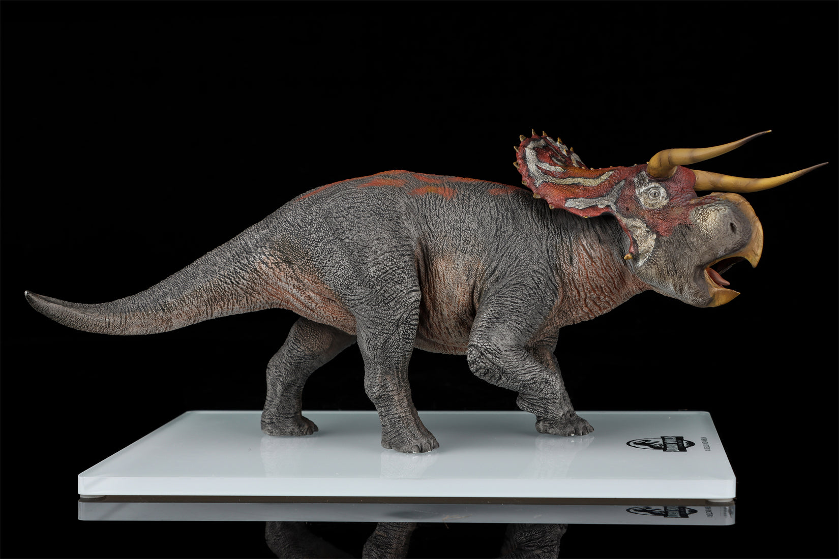 DINO DREAM 1:30 Scale Nasutoceratops Model