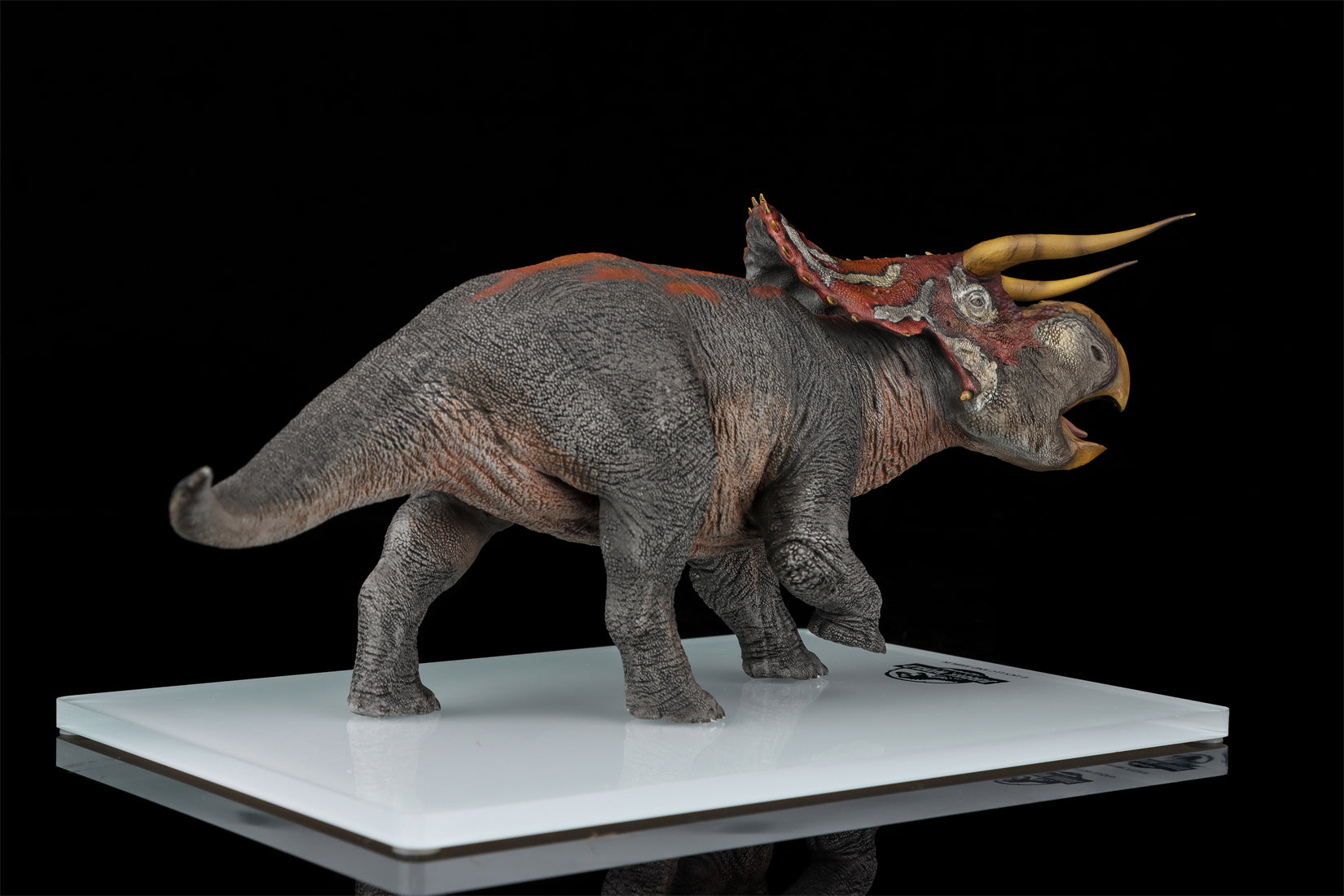 DINO DREAM 1:30 Scale Nasutoceratops Model