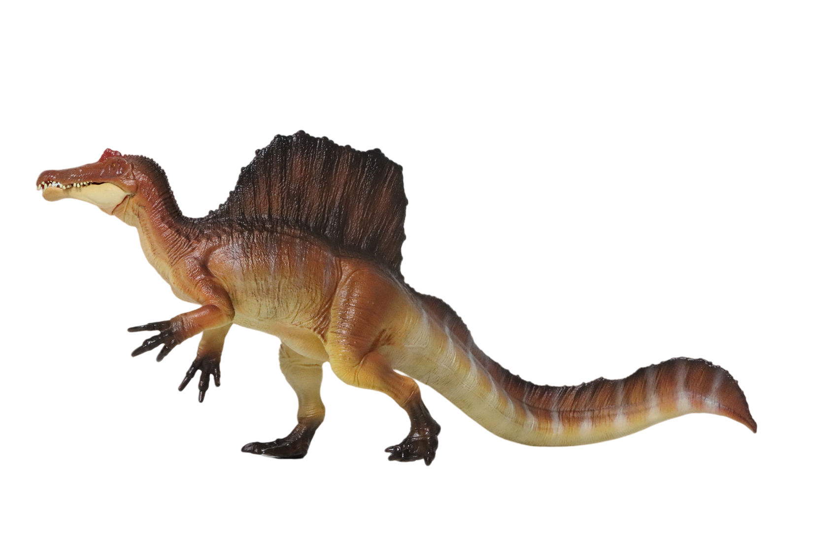 RECUR 1:42 Scale Spinosaurus Stromer Model