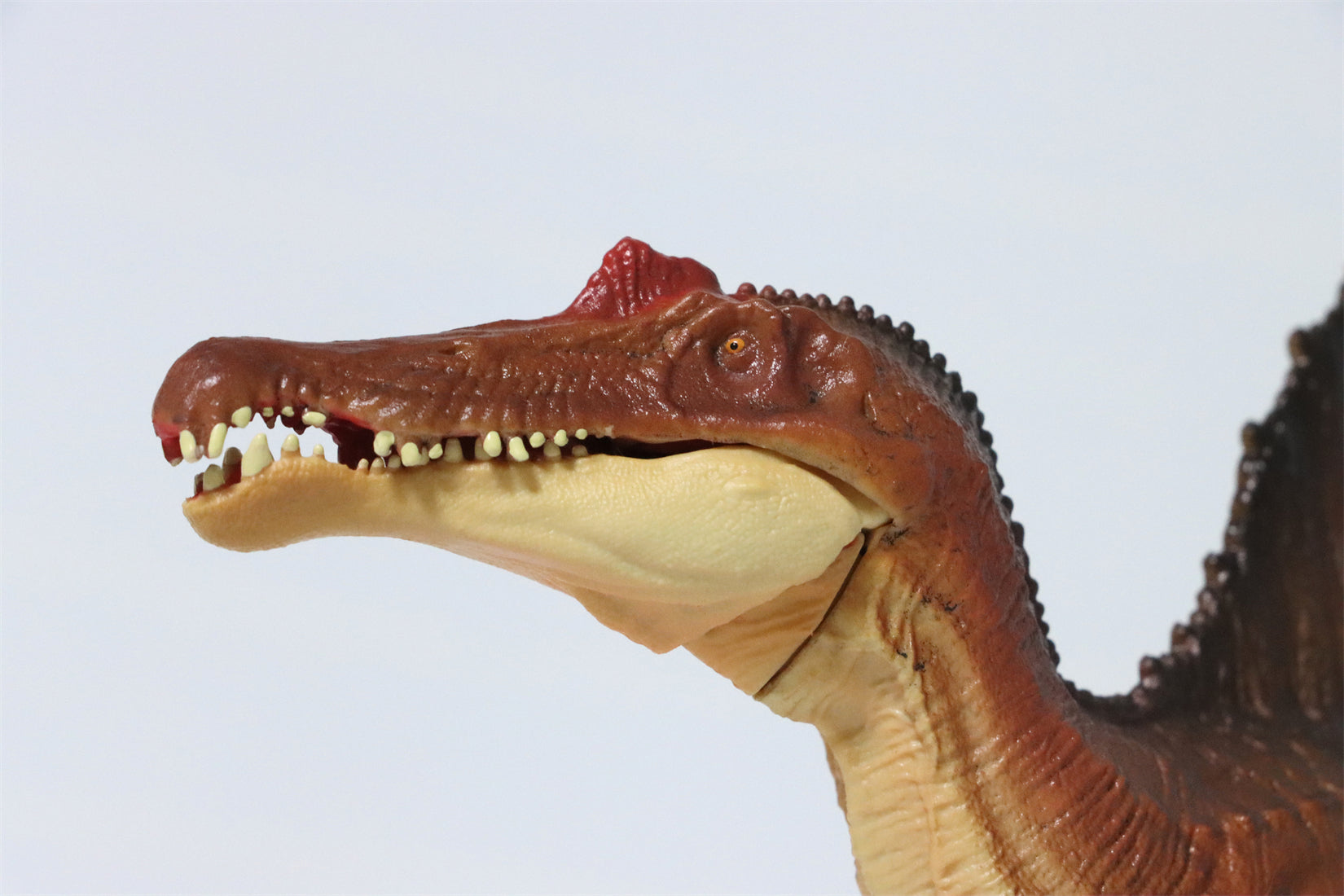 RECUR 1:42 Scale Spinosaurus Stromer Model
