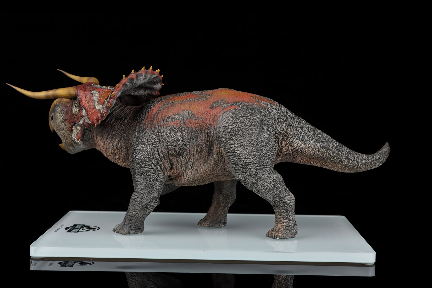 DINO DREAM 1:30 Scale Nasutoceratops Model