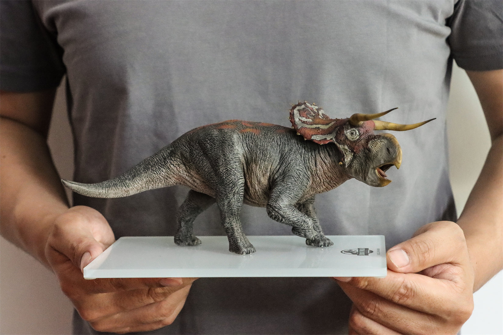 DINO DREAM 1:30 Scale Nasutoceratops Model