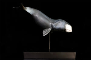 Sumeru Studio 1/35 Bowhead Whale Model