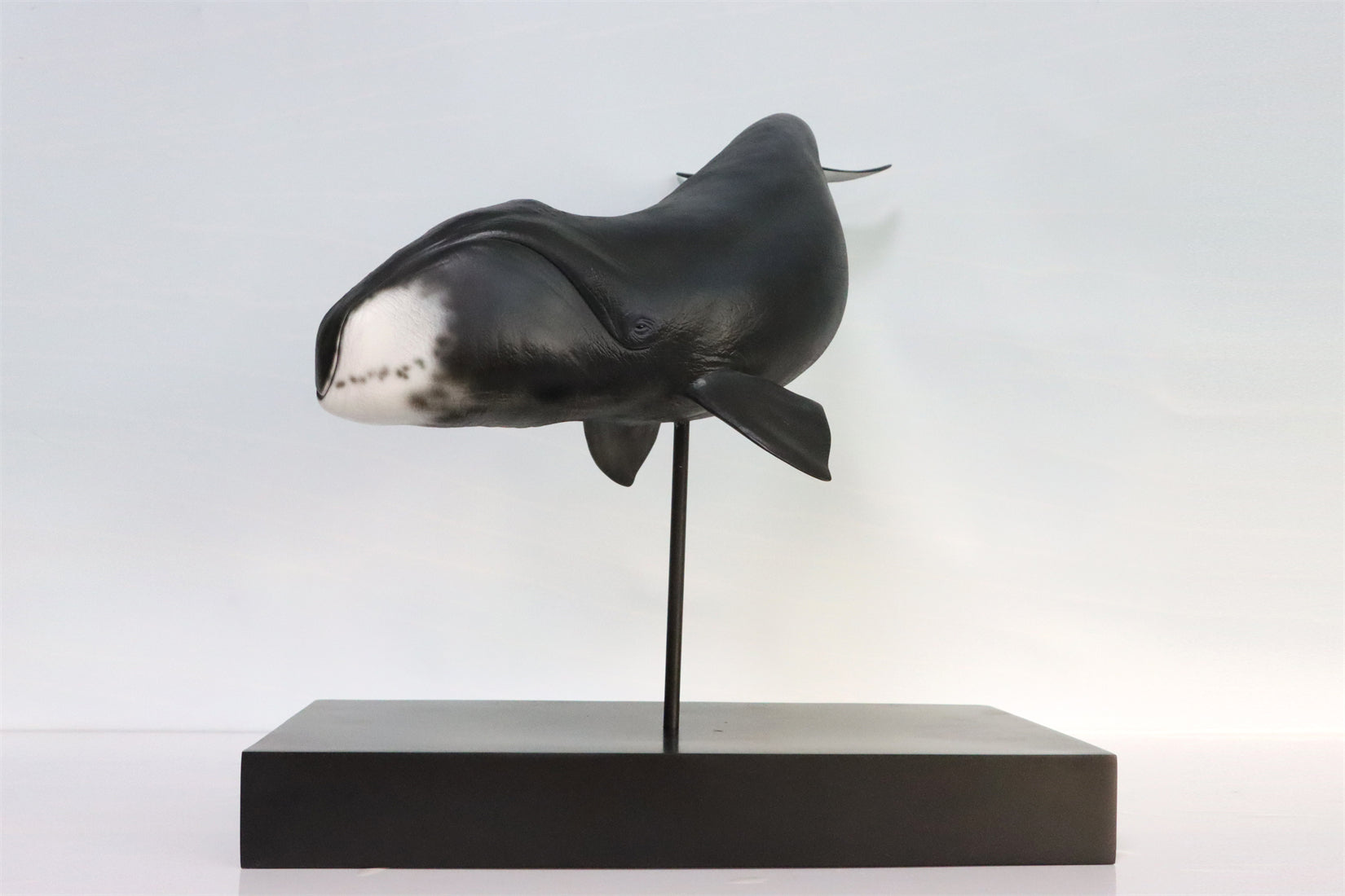 Sumeru Studio 1/35 Bowhead Whale Model