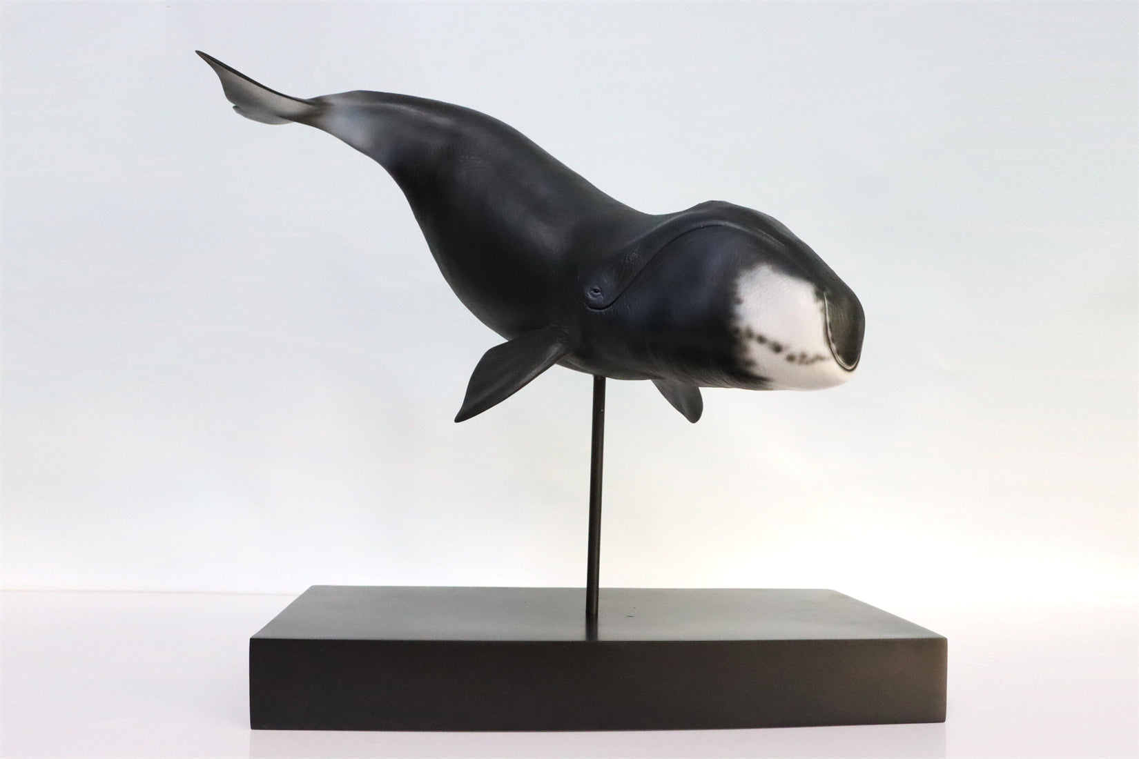 Sumeru Studio 1/35 Bowhead Whale Model