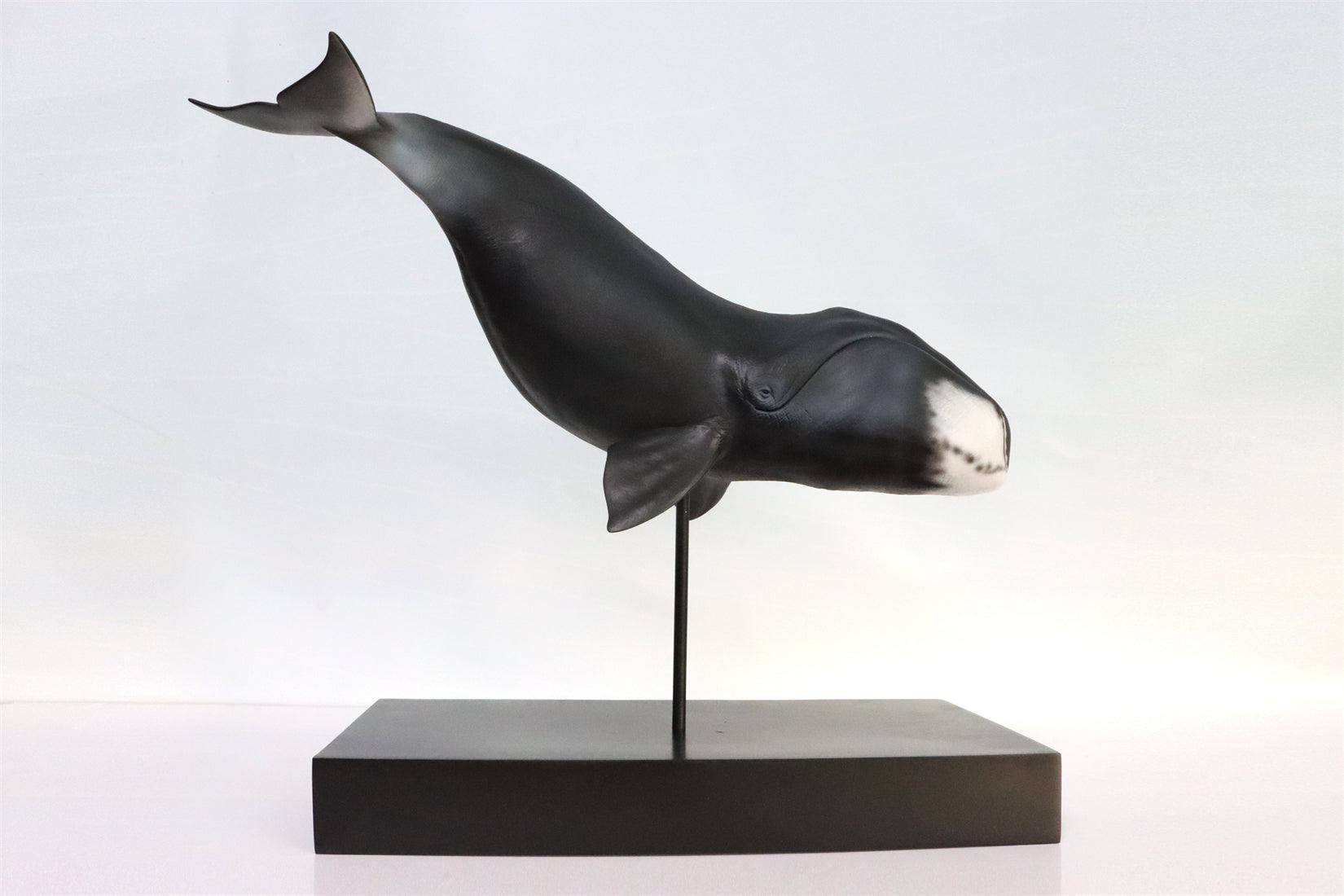 Sumeru Studio 1/35 Bowhead Whale Model