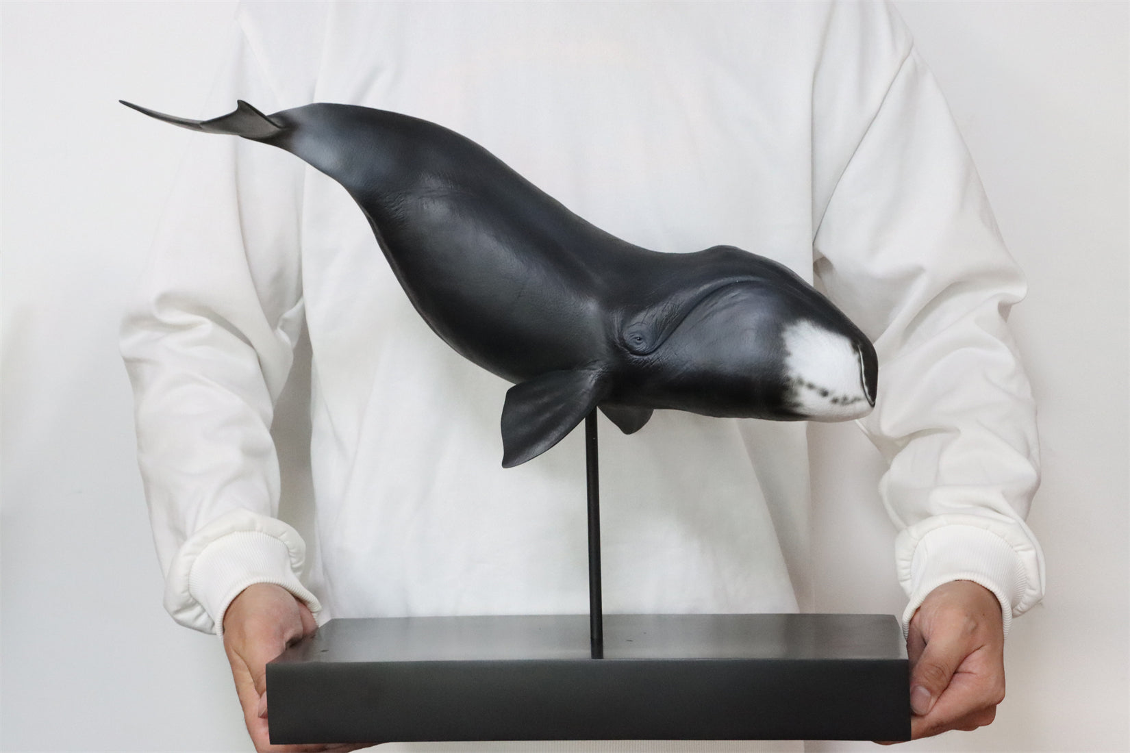 Sumeru Studio 1/35 Bowhead Whale Model