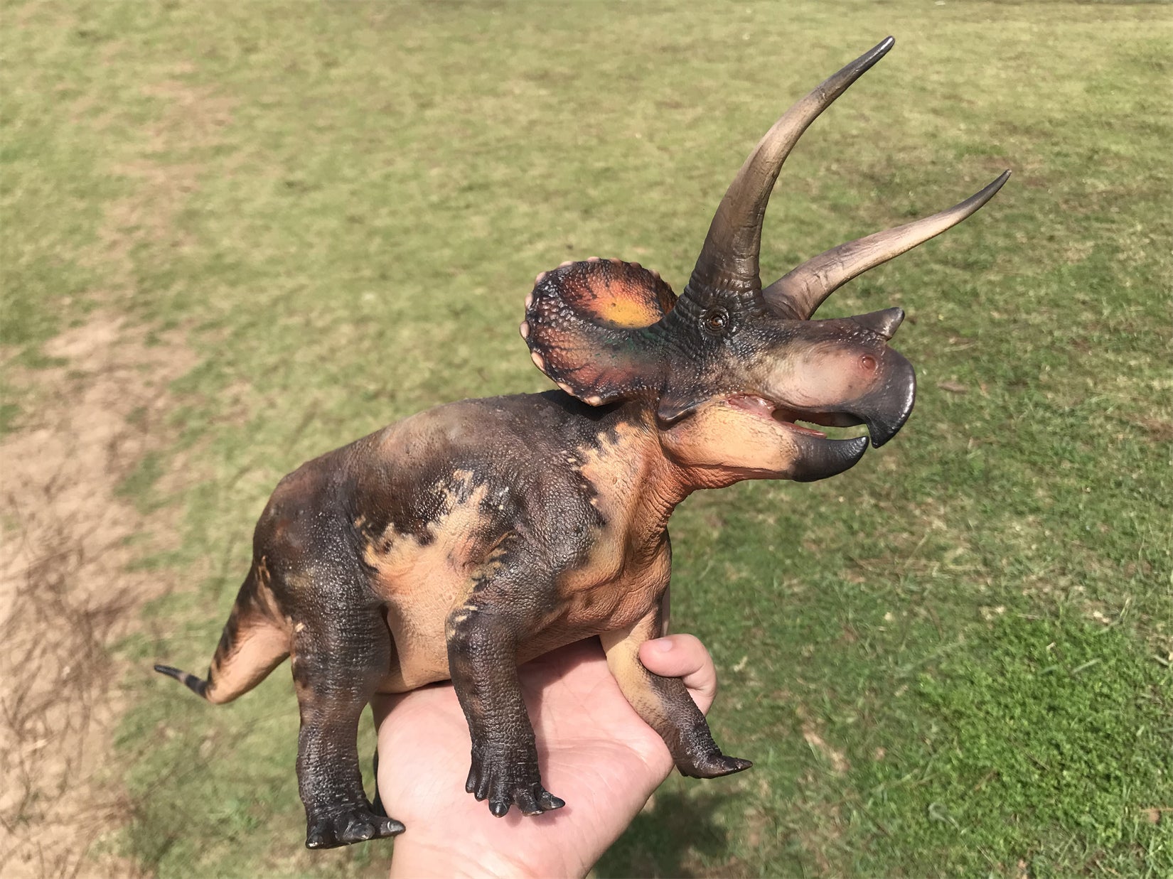 De CLAY Studio Triceratops prorsus Scene Statue Kit