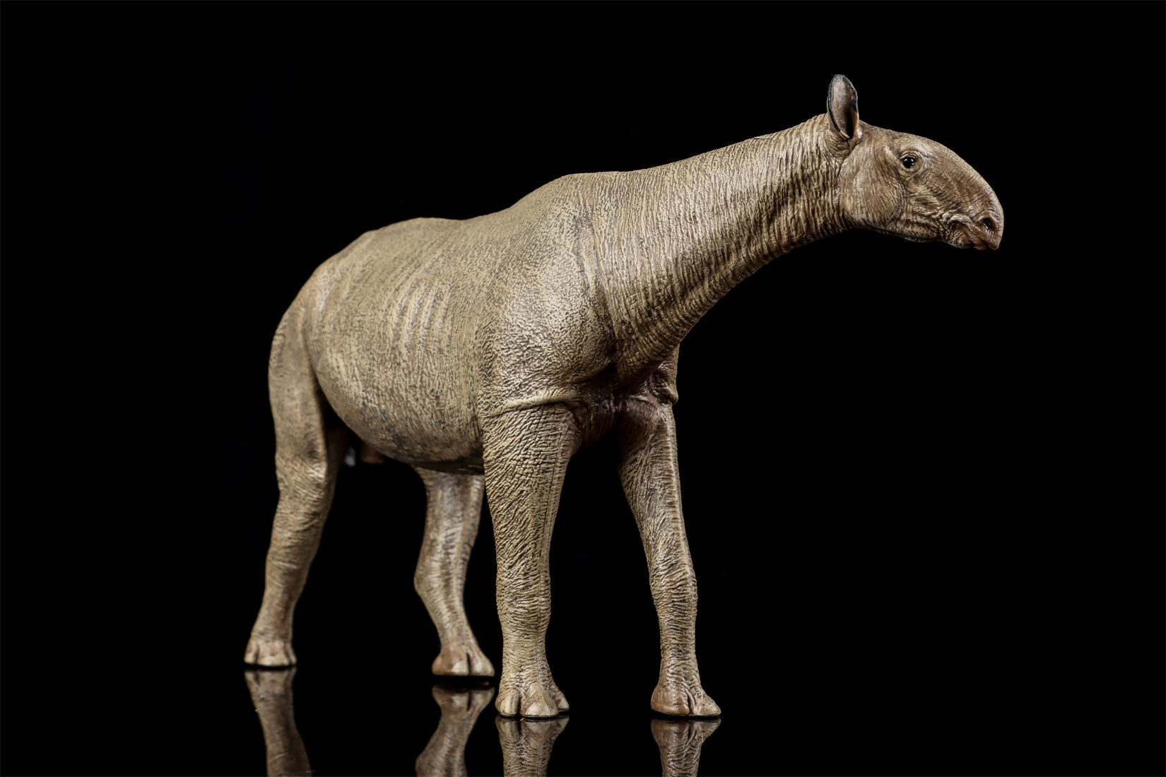 Eofauna 1:35 Scale Paraceratherium grangeri Figure