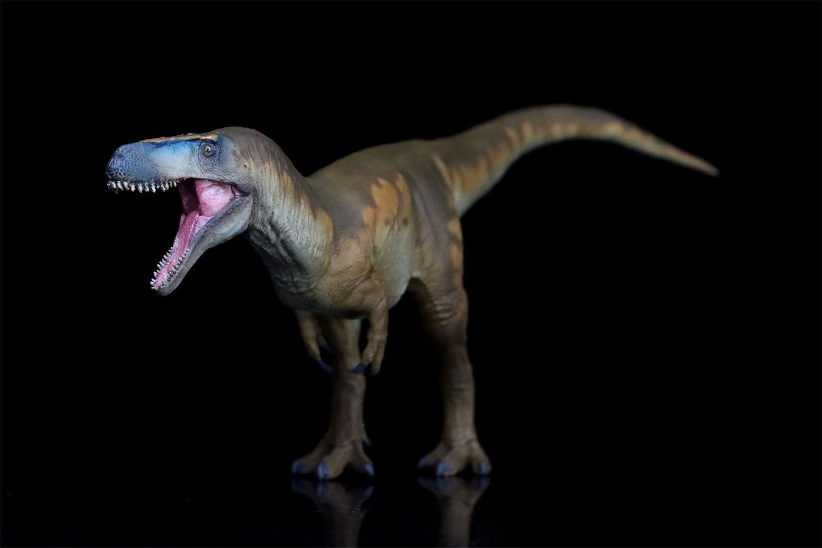 PNSO Megalosaurus Edward Model
