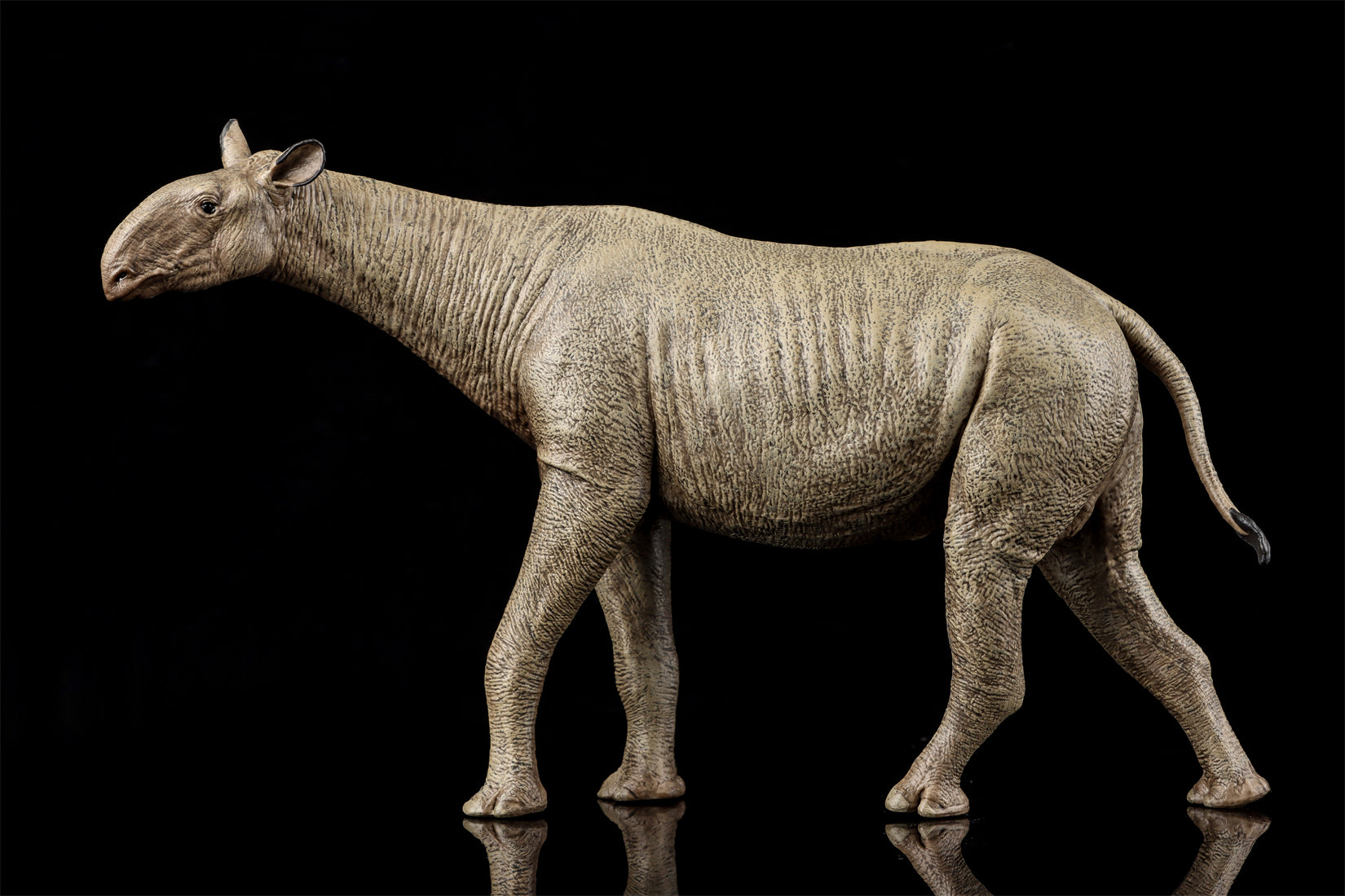 Eofauna 1:35 Scale Paraceratherium grangeri Figure