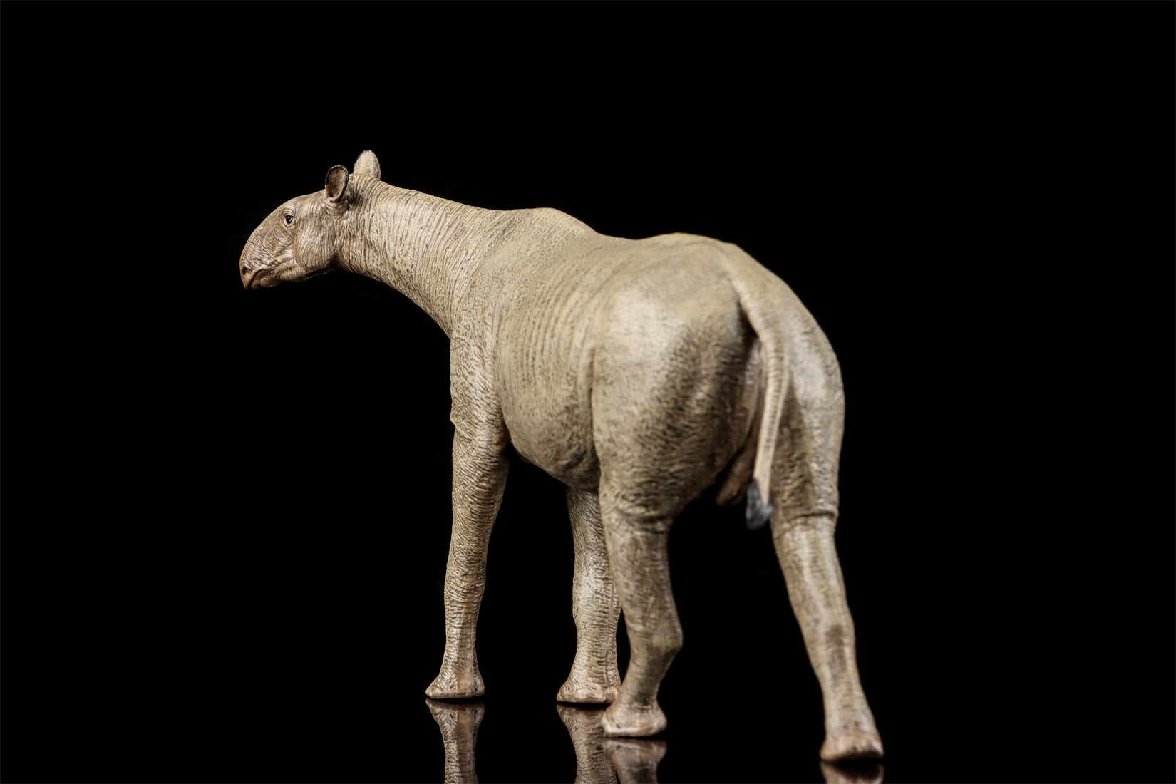 Eofauna 1:35 Scale Paraceratherium grangeri Figure