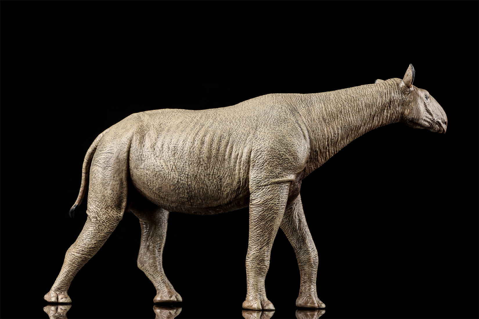 Eofauna 1:35 Scale Paraceratherium grangeri Figure