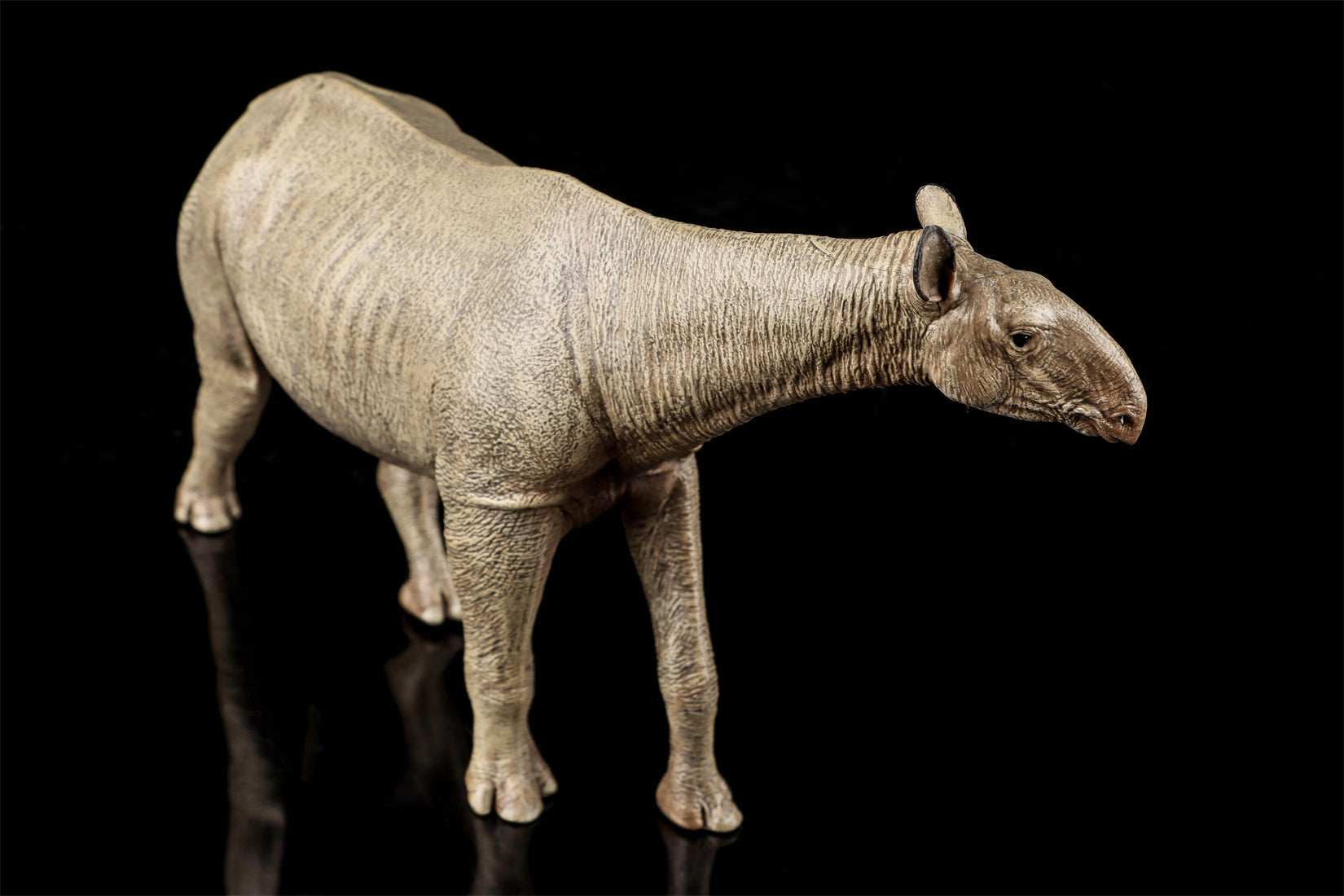 Eofauna 1:35 Scale Paraceratherium grangeri Figure