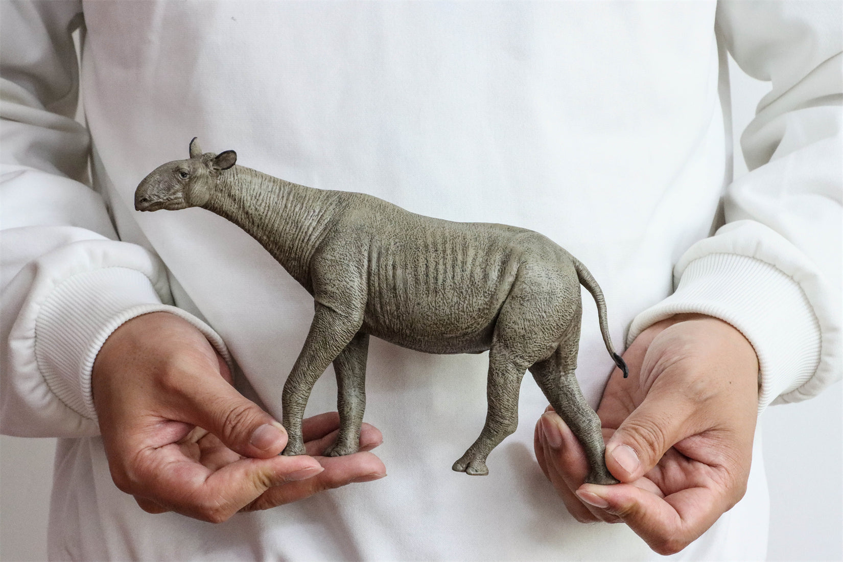 Eofauna 1:35 Scale Paraceratherium grangeri Figure