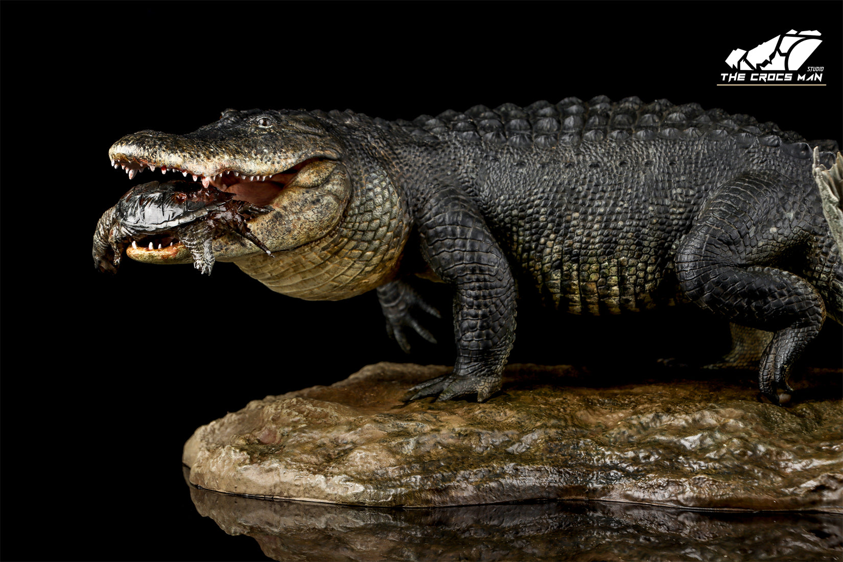 The Crocs Man Studio American Alligator Model