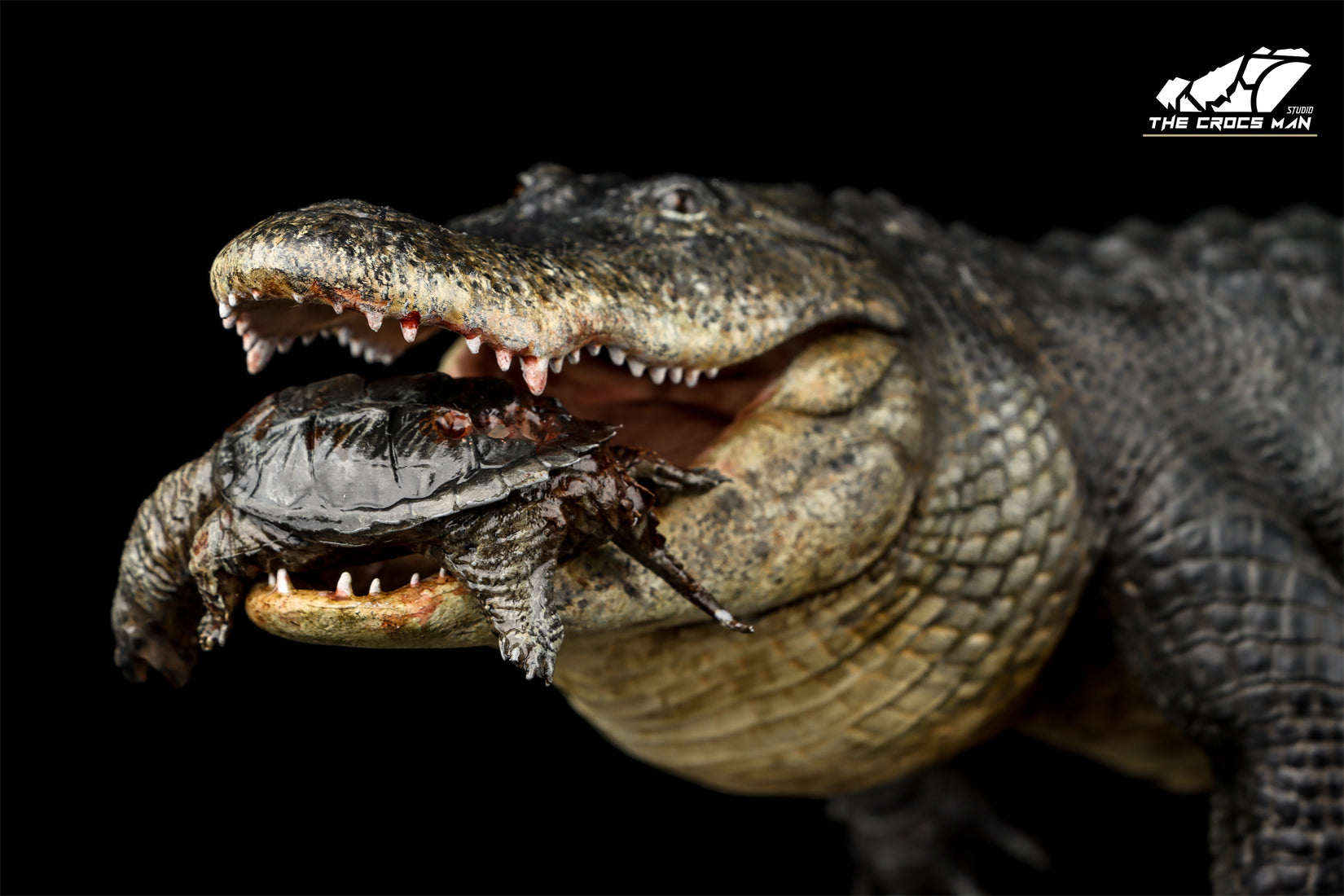 The Crocs Man Studio American Alligator Model