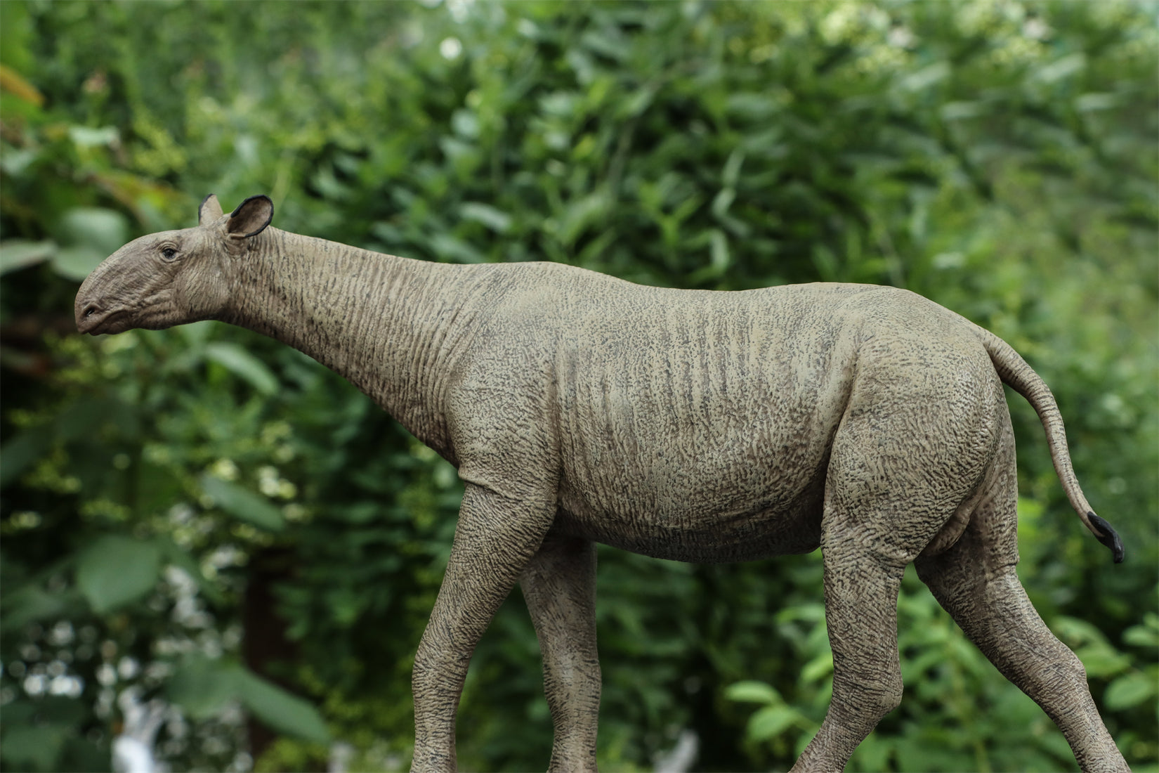Eofauna 1:35 Scale Paraceratherium grangeri Figure