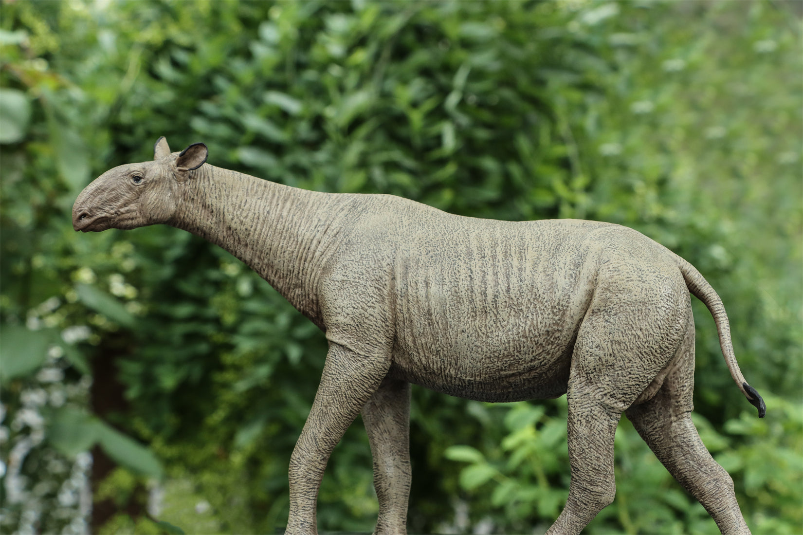 Eofauna 1:35 Scale Paraceratherium grangeri Figure