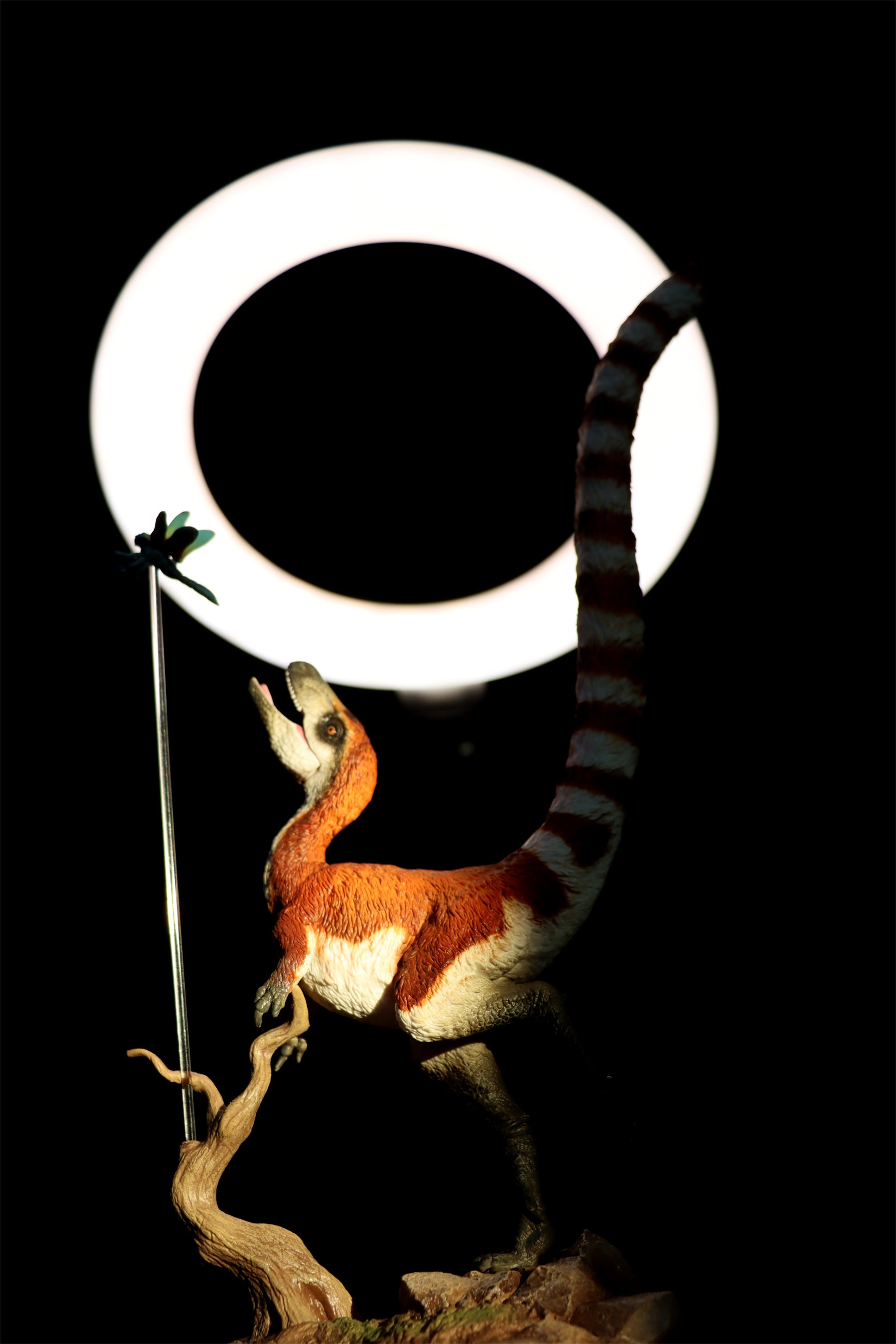 TNG Quetzalcoatlus Cryolophosaurus Saichania Sinosauropteryx Parasaurolophus Figure