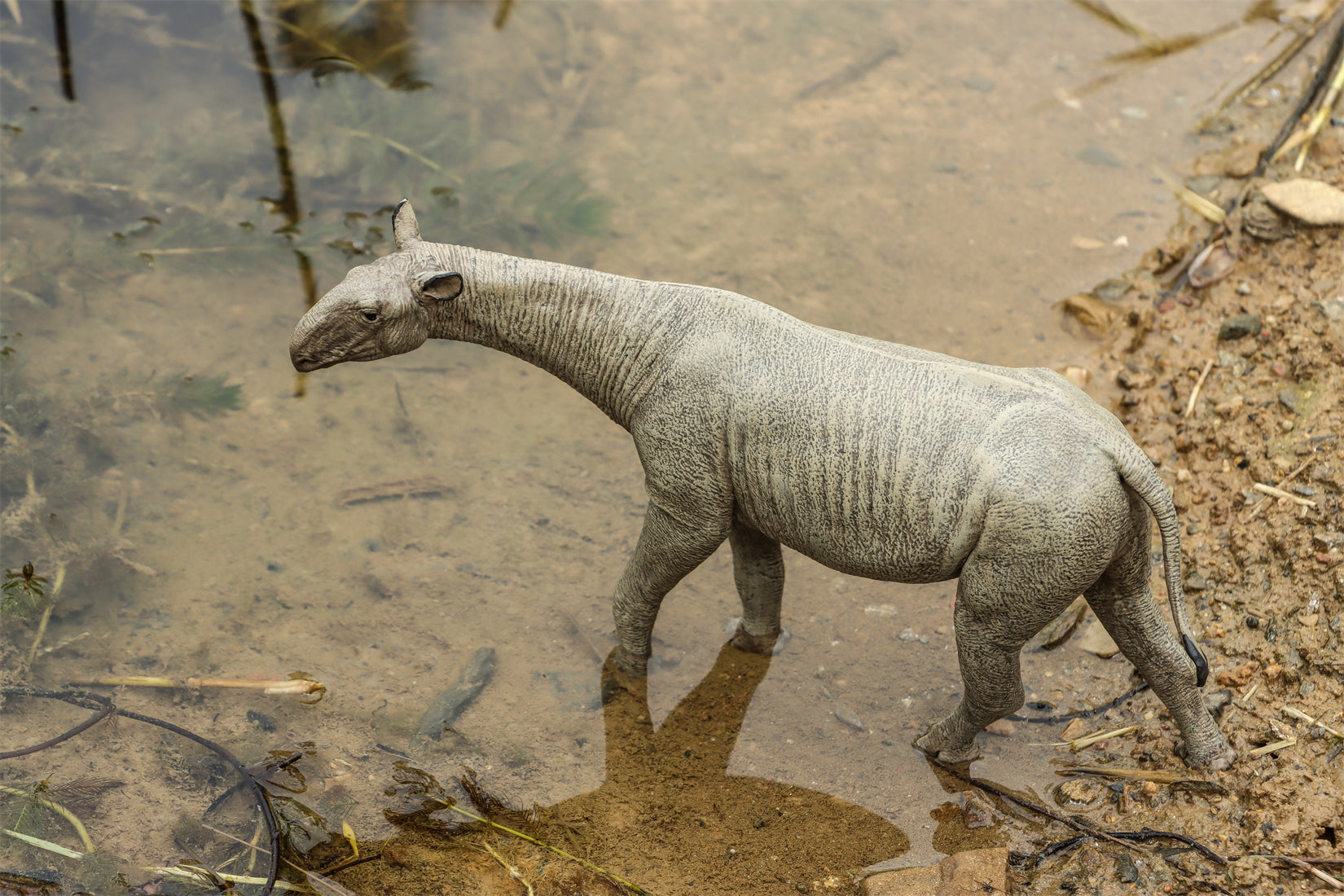 Eofauna 1:35 Scale Paraceratherium grangeri Figure