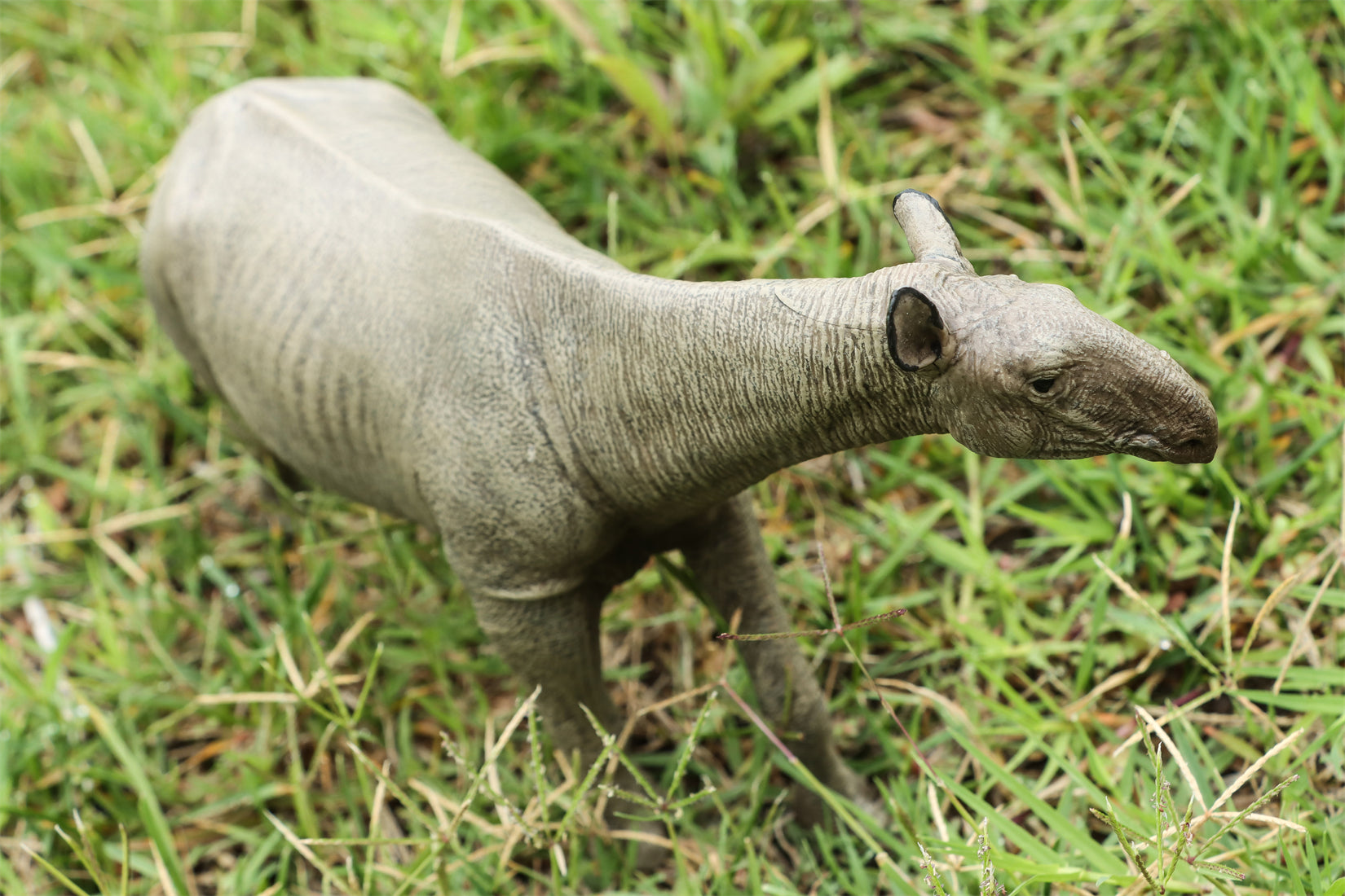 Eofauna 1:35 Scale Paraceratherium grangeri Figure