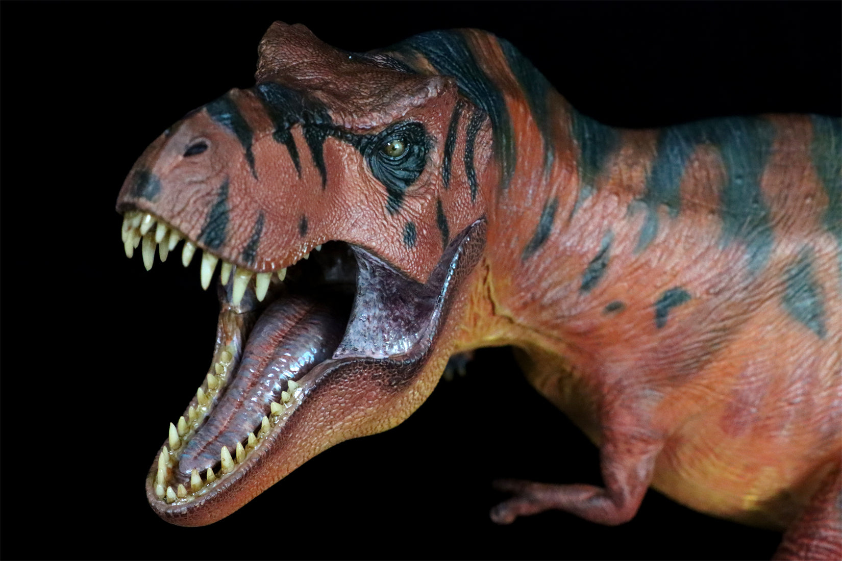 Nanmu Studio Tyrannosaurus Rex Alpha 2.0 Model